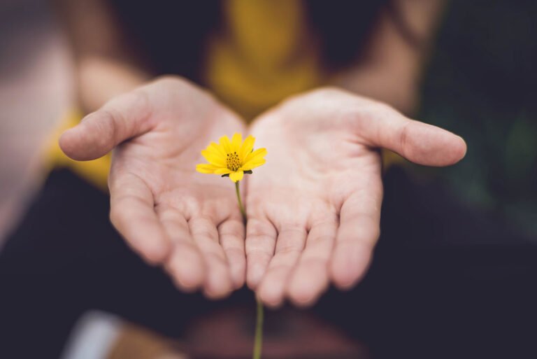 Hands holding a small yellow flower symbolizing environmental protection and blockchain innovation.